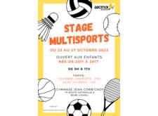 Stage multi sports